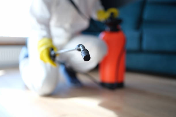 Best Biohazard Mold Removal  in Kodi Station, AK