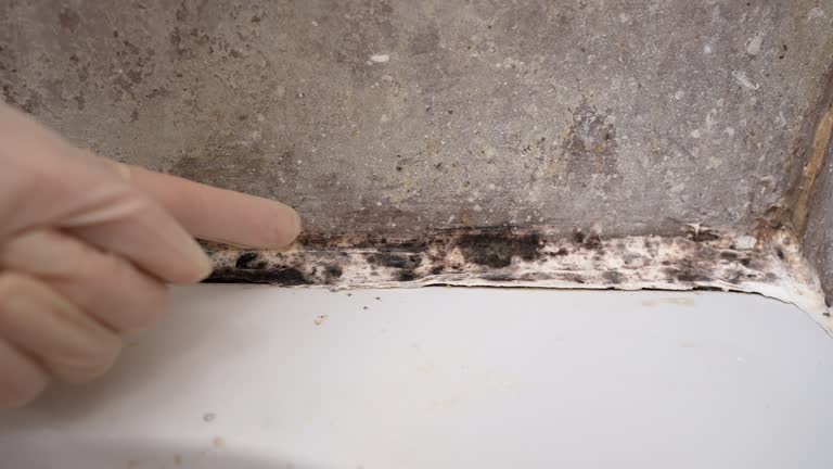 Best Indoor Air Quality Assessment  in Kodi Station, AK